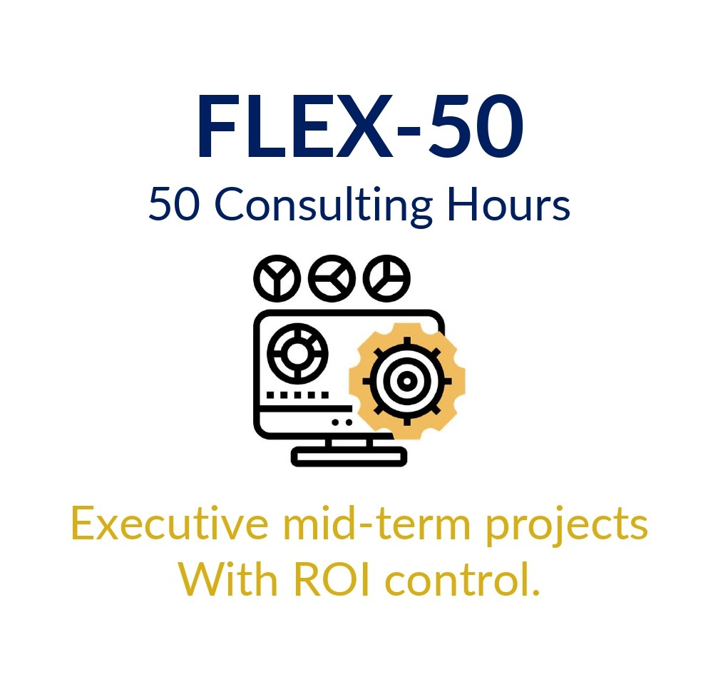 FLEX 50 - Consulting Hours