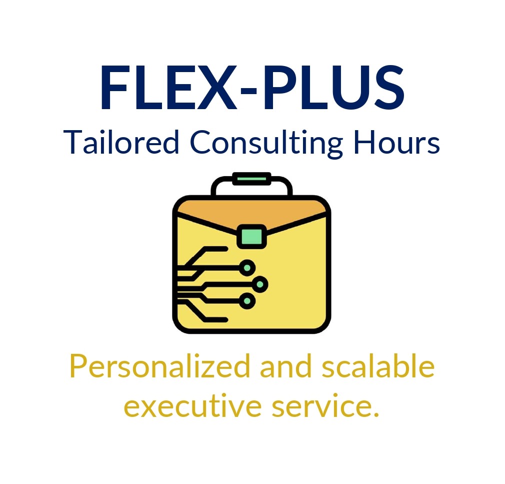 FLEX PLUS - Consulting Hours